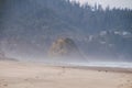 Proposal Rock, Oregon in a foggy day Royalty Free Stock Photo