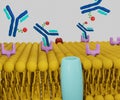 theranostic radiopharmaceuticals on lipid bilayer 3d rendering