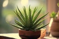 Therapeutic Aloe vera pot. Generate Ai