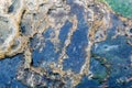 Therapeutic mineral water at a natural hot spring in Karlovy Vary, Czech Republic. hydrogen sulphide