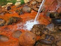 Therapeutic spring with mineral water Narzan Caucasian ridge. High concentration of iron gives it rusty orange color Royalty Free Stock Photo