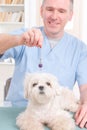 Therapist or vet using pendulum Royalty Free Stock Photo