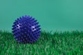 therapy ball for massage on grass background