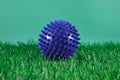 therapy ball for massage on grass background