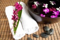 Therapy with orchids and hot stones Royalty Free Stock Photo
