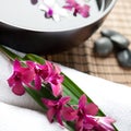 Therapy with orchids and hot stones Royalty Free Stock Photo