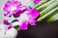 Therapy with orchids and hot stones Royalty Free Stock Photo