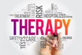 Therapy - process of meeting with a therapist to resolve problematic behaviors, beliefs, feelings, relationship issues or somatic