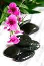 Therapy stones with miniature magenta orchids Royalty Free Stock Photo