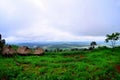 There are Akha homestays located on a hillside covered and foggy background at Doi Sa Ngo ,Chiang Rai , Thailand