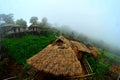 There are Akha homestays located on a hillside covered and foggy background at Doi Sa Ngo ,Chiang Rai , Thailand