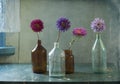 There are asters in-bottle