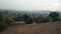 There is a awesome Indian Tree Clicked on mountain