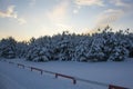 There are beautiful snow-covered fir trees along the road. Winter landscape under the evening blue sky Royalty Free Stock Photo