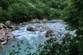 There are beautiful wild flowers and various herbs. Stormy clear transparent mountain river with bluish tinge from sky flows