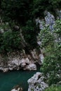 There are beautiful wild flowers and various herbs. Stormy clear transparent mountain river with bluish tinge from sky flows