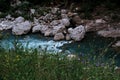 There are beautiful wild flowers and various herbs. Stormy clear transparent mountain river with bluish tinge from sky flows
