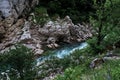 There are beautiful wild flowers and various herbs. Stormy clear transparent mountain river with bluish tinge from sky flows