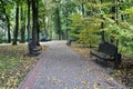 there are benches along the path in the autumn park
