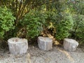 There are big tree stumps in the park Royalty Free Stock Photo
