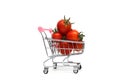 There are a bunch of ripe little tomatoes in a miniature shopping cart. Royalty Free Stock Photo