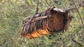 Beekeeping With Traditional Wicker Basket, Log and Skep Beehive