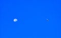 Airplane flying across the full moon in the blue sky during magic hour .