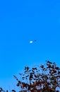 Airplane flying across the full moon in the blue sky during magic hour . Royalty Free Stock Photo