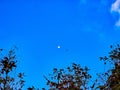 Airplane flying across the full moon in the blue sky during magic hour . Royalty Free Stock Photo