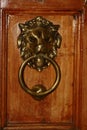 There is a door knock on my house door. This is made of metal and shaped like a lion and pierced a ring in the nose to knock