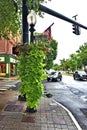 Danbury connecticut state usa ecological street design