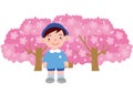 A boy kindergartener in front of a cherry tree in full bloom Royalty Free Stock Photo