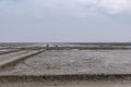 There are farms and roads made of soil on the dark beach