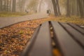 There is fog in the autumn city park. There are benches and litter bins along the alley. Beautiful autumn landscape Royalty Free Stock Photo