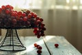 There are fresh grapes on the blue wooden table on the iron flower rack