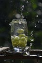 There is a green grape falling into a transparent large glass and water drops scattered around. Royalty Free Stock Photo