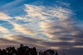 There is a group of black trees on the beautiful red colorful sunset sky background Royalty Free Stock Photo