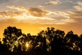 There is a group of black trees on the beautiful red colorful sunset sky background Royalty Free Stock Photo