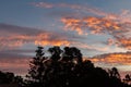 There is a group of black trees on the beautiful red colorful sunset sky background Royalty Free Stock Photo