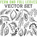 Ferns and Fall Leaves Vector Set with different types of leaves Royalty Free Stock Photo