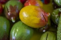there is have some many kind of fruits made by soil and the background blur