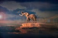 There is a heaven where the elephant greets the sun Royalty Free Stock Photo