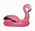 Flamingo inflatable pink on white bg