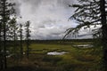 There is lake in the green meadow. There are many white clouds in the dark blue sky Royalty Free Stock Photo