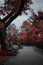 There is a lantern and benches in an empty autumn park