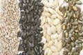 there is a large group of seeds arranged in different sizes and colors