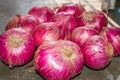 There are a lot of onions lying on the slab of a kitchen with selected focus