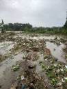 There is a lot of rubbish left over from the flood carried by the river current