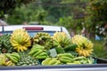 There are lots of bananas in the back of the pickup truck. middlemen to buy bananas from farmers Bananas are yellow-green. Thai