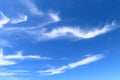 There are many cirrus uncinus clouds Royalty Free Stock Photo